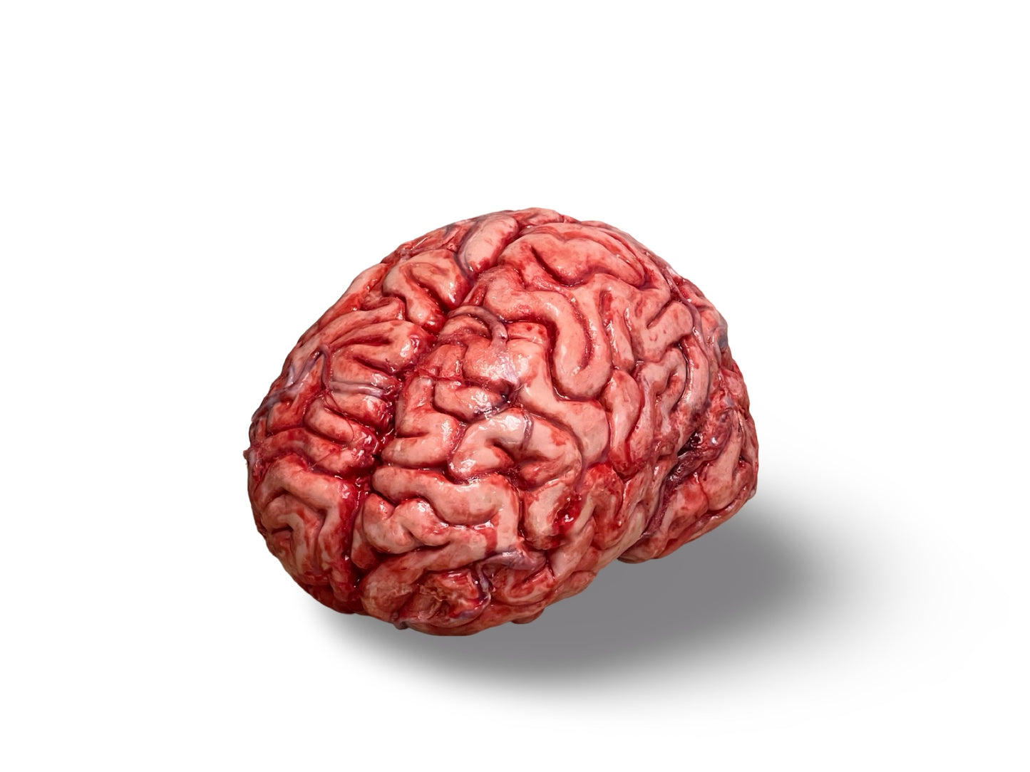 Realistic human brain