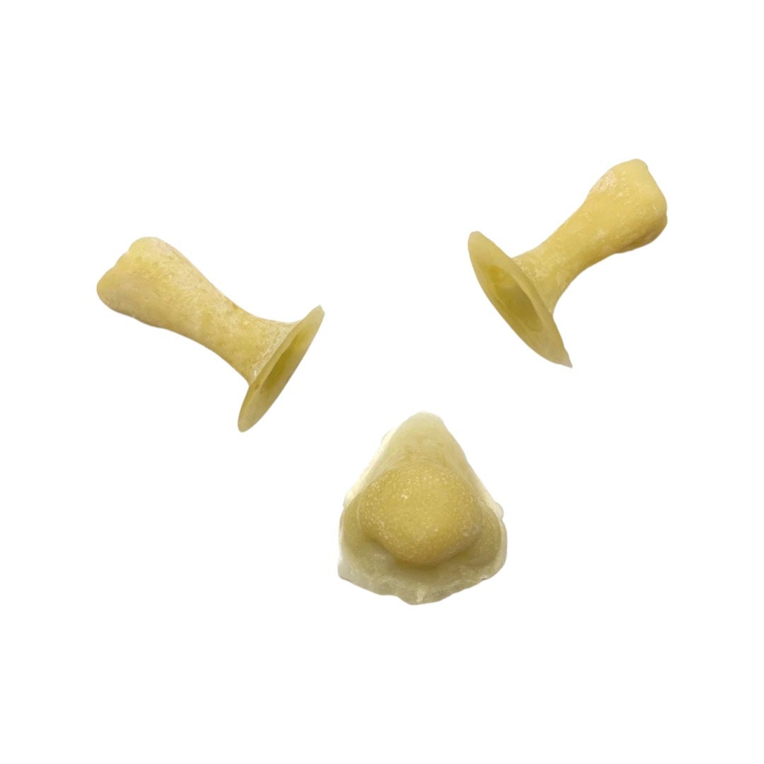 shrek nose and ears prosthetics