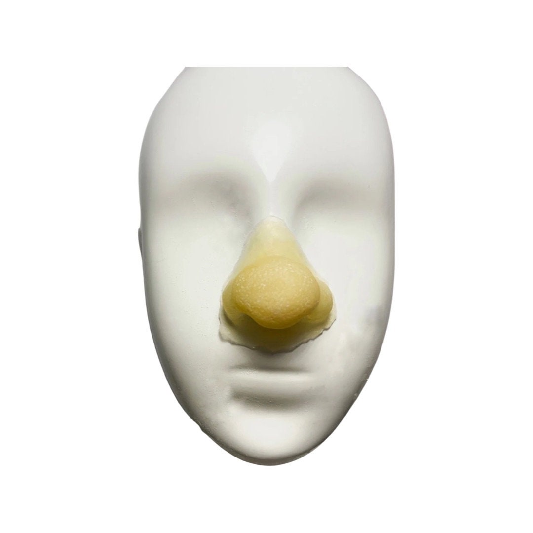 shrek nose and ears prosthetics