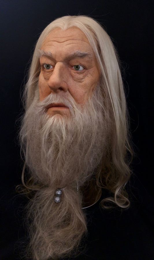 Dumbedore - harry potter 1:1 life