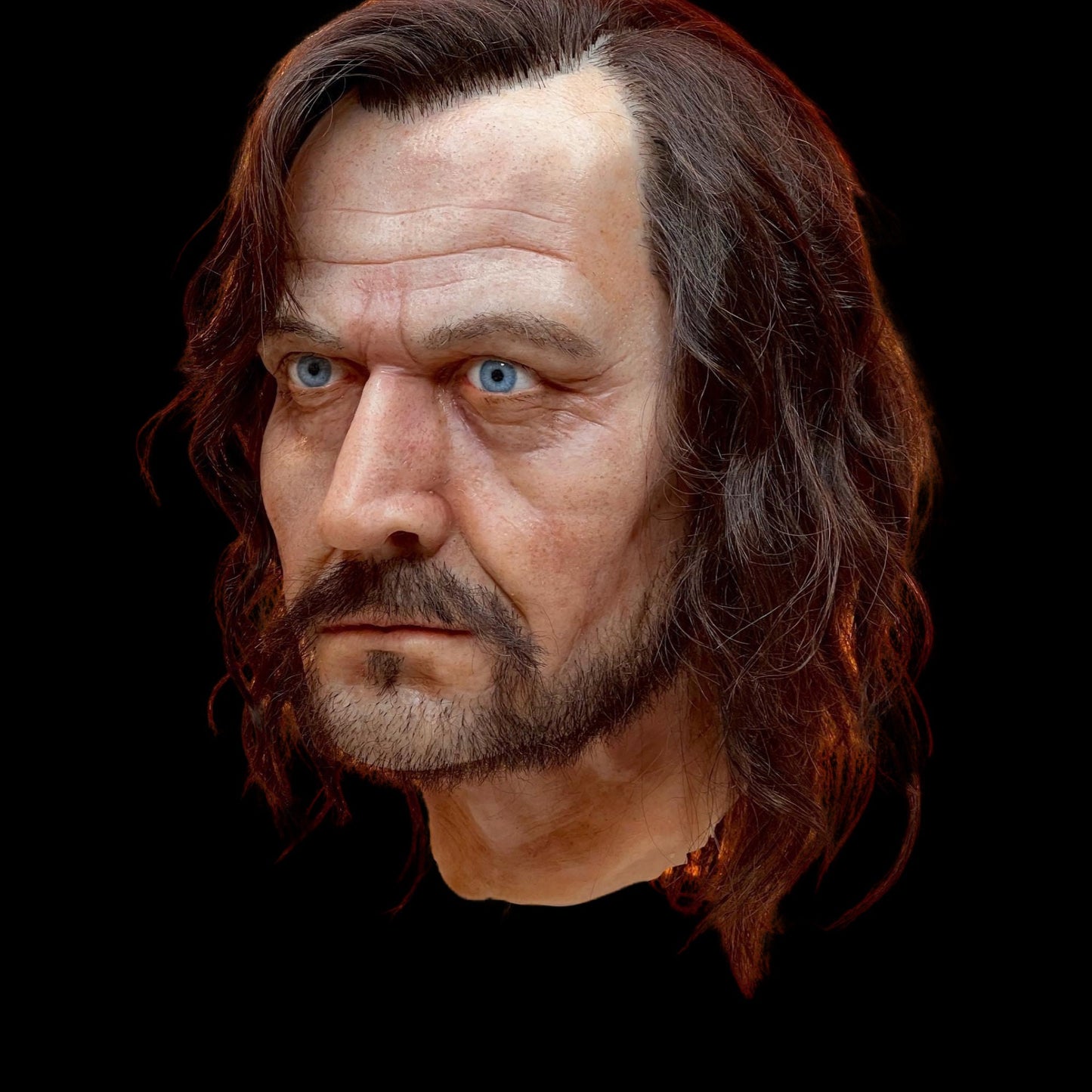 Sirius Black - Harry Potter