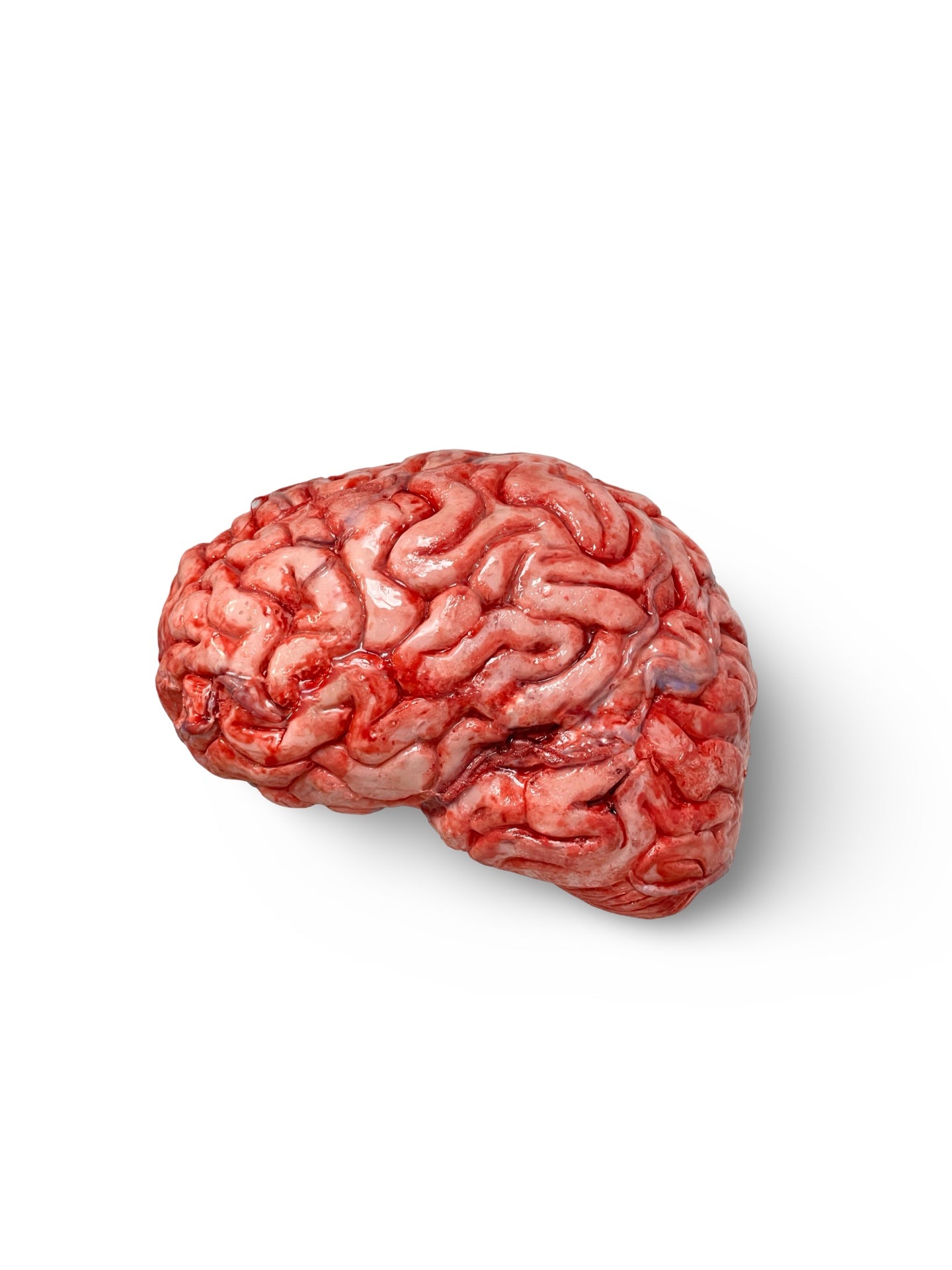 Realistic human brain