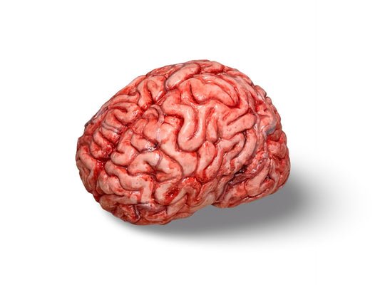 Realistic human brain