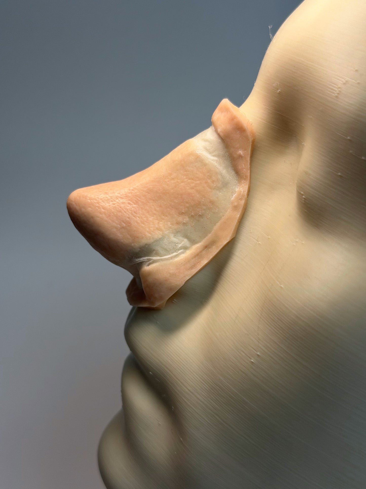 The Little Sniff - prosthetic nose