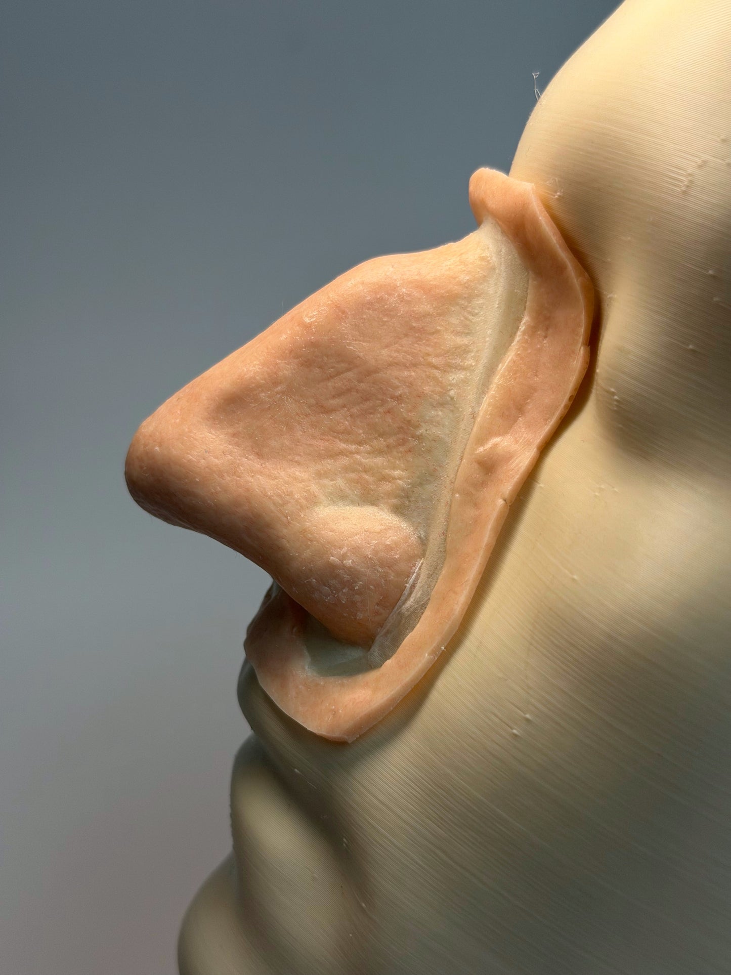 The Caesar's Sniffer - silicone nose