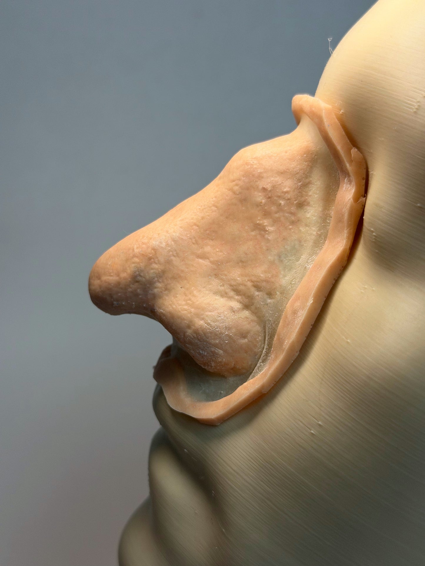 The Cackle - silicone nose