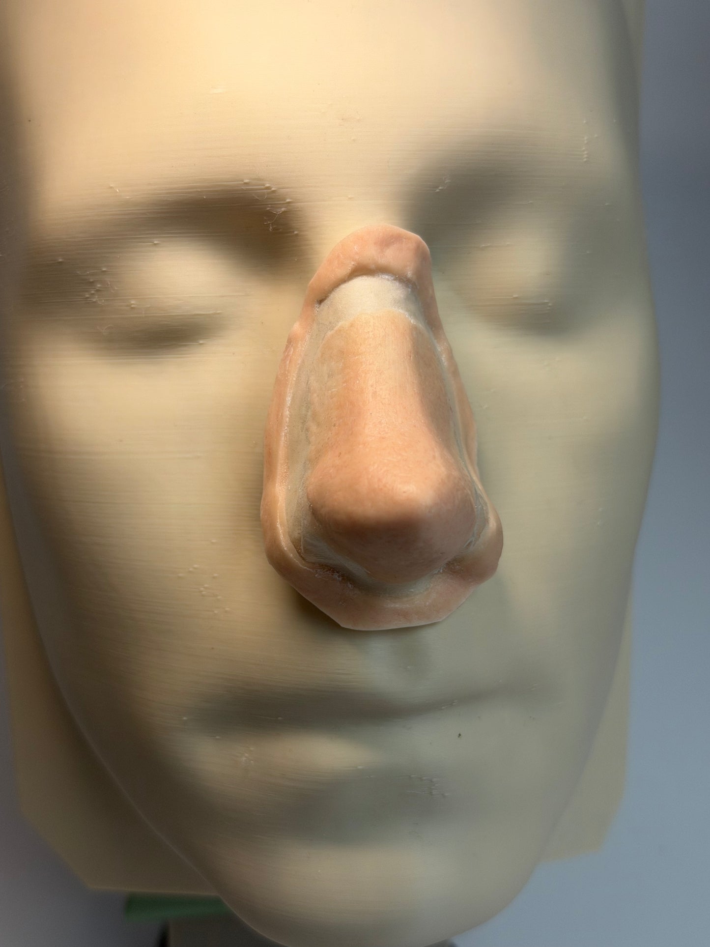 The Little Sniff - prosthetic nose
