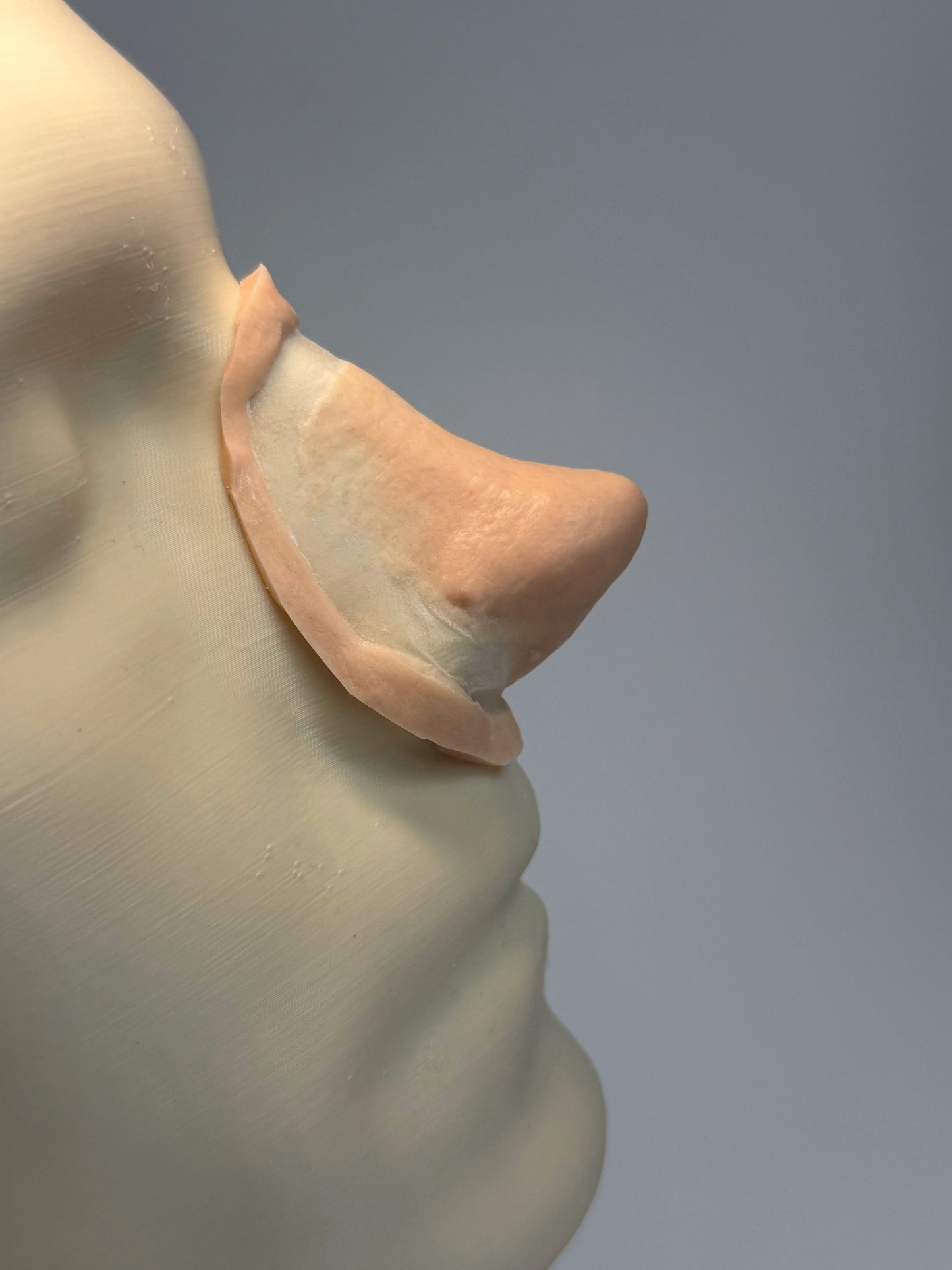 The Little Sniff - prosthetic nose