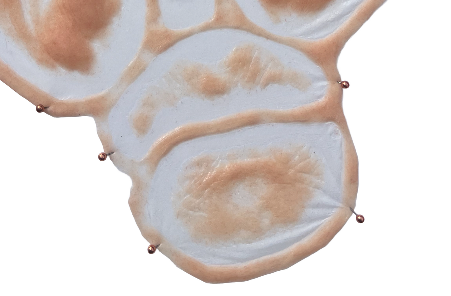 old age set prosthetics