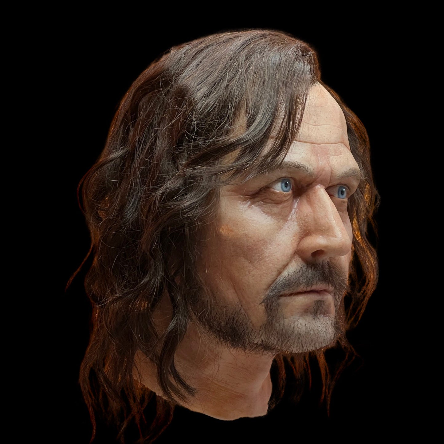Sirius Black - Harry Potter - 1:1 life-size silicone bust - made to order