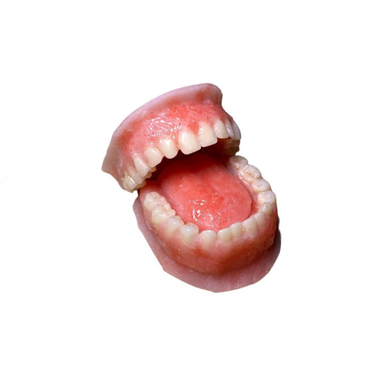 Prop dentures - Fake teeth - SFX make-up - Escape room - Halloween Decoration